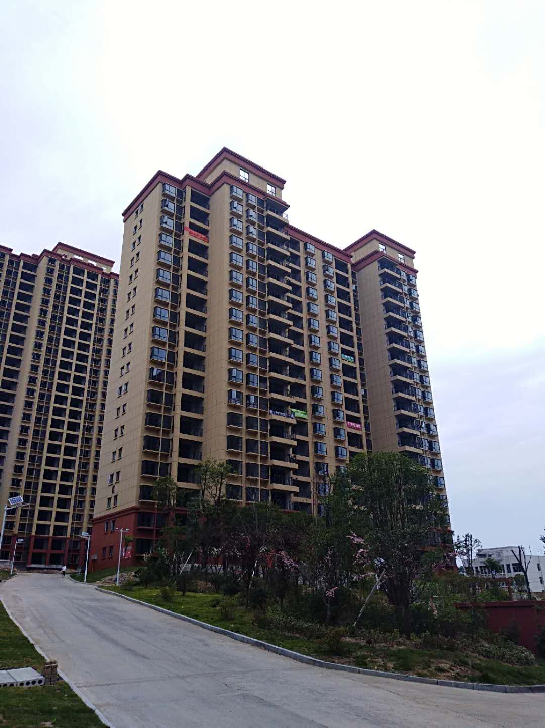 羅田 大地建設棟號2